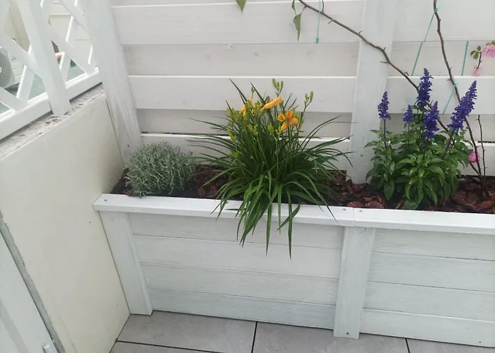 Domus Cervantes Affittacamere 3*